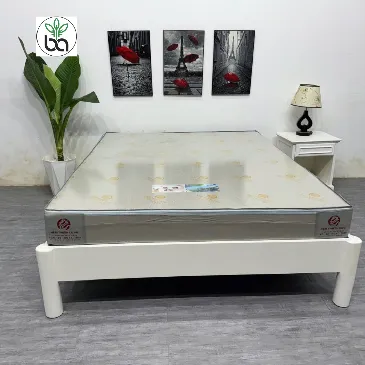 Nệm Cao Su Hoạt Tính Thiên Long Lõi đặc nặng không lún cho khách sạn resort nhà nghỉ homestay