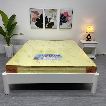 Nệm cao su non Amrerican 10 phân đầy đủ kích thước