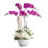 Mini flower vase 01