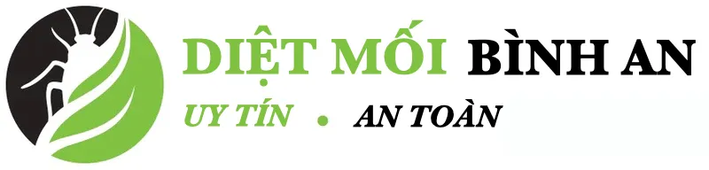 Giày đá bóng chính hãng Your Store